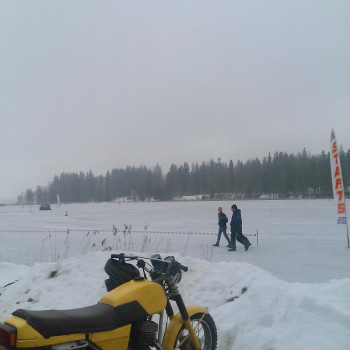 Skijorings