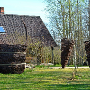 Country house “Sapnīši”